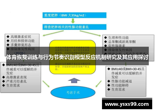 体育恢复训练与行为节奏识别模型反应机制研究及其应用探讨